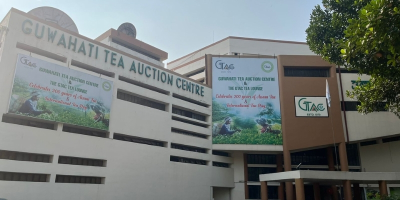 Assam tea from Deckiajuli Estate fetches record Rs 800/kg at GTAC